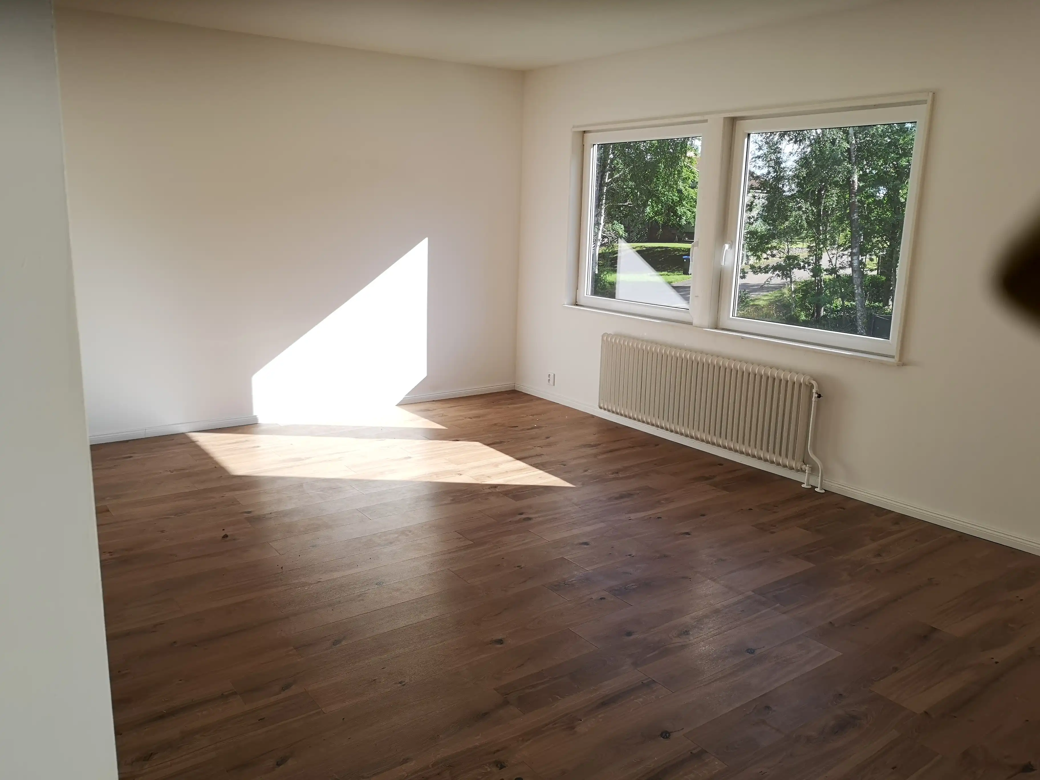 IMG_20200727_173448 11